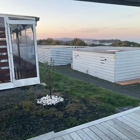 Gardenia - Seabed Łozenec